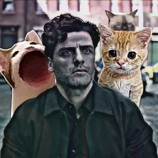 🤨 emoji Созреватель вопросов одобряет Telegram sticker 5 of 118