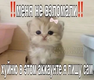 🌟 emoji Бк ском Telegram sticker 10 of 116