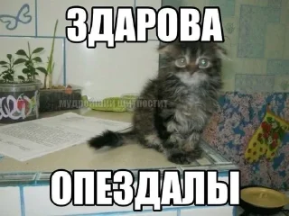 🌟 emoji Бк ском Telegram sticker 6 of 116