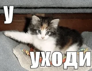 👈 emoji Мой пак на все случаи жизни — @stckrRobot Telegram sticker 23 of 120
