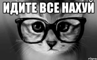 🤩 emoji ДИМА БРЕНДОВЫЙ Telegram sticker 11 of 29