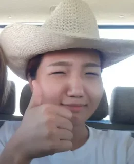 👍 emoji хрюня аче Telegram sticker 19 of 46