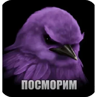👍 emoji @FULLSITION <- БОЛЬШЕ Telegram sticker 14 of 120
