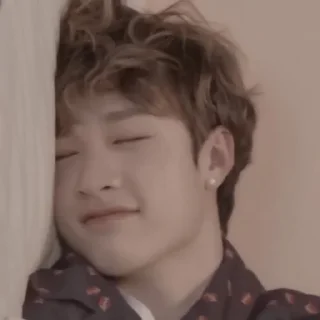🍬 emoji 🫐Bangchan:: @moonlightflowers Telegram sticker 20 of 25