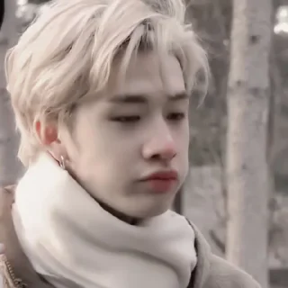 🍬 emoji 🫐Bangchan:: @moonlightflowers Telegram sticker 13 of 25