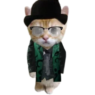 Sticker from смешные стикеры по балдурсу