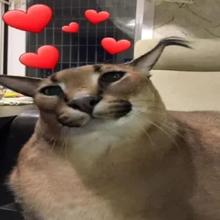 😘 emoji Дідько це так глибоко.... Telegram sticker 13 of 56