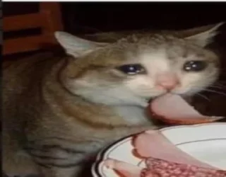 😭 emoji Дідько це так глибоко.... Telegram sticker 19 of 56
