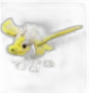 🐉 emoji Estetik_girl121212 Telegram sticker 18 of 18