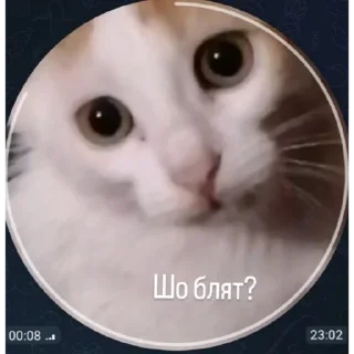 🙂 emoji Травушка Telegram sticker 2 of 83