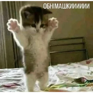 🤗 emoji Травушка Telegram sticker 17 of 83