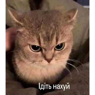 🤬 emoji Травушка Telegram sticker 13 of 83