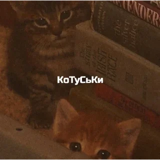 🐱 emoji Травушка Telegram sticker 1 of 83