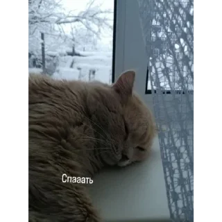 😴 emoji Травушка Telegram sticker 8 of 83