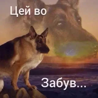 Sticker from козацькі прикольчікі