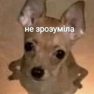 🤨 emoji козацькі прикольчікі Telegram sticker 18 of 71