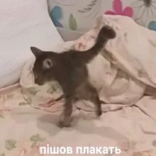🥲 emoji козацькі прикольчікі Telegram sticker 6 of 71