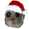🎁 emoji hamstertt Telegram sticker 7 of 117