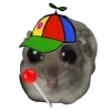 🧢 emoji hamstertt Telegram sticker 23 of 117