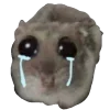 😭 emoji hamstertt Telegram sticker 6 of 117