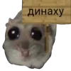 🖕 emoji hamstertt Telegram sticker 19 of 117