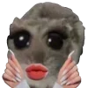 💅 emoji hamstertt Telegram sticker 13 of 117