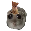 🐱 emoji hamstertt Telegram sticker 24 of 117