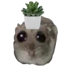 🪴 emoji hamstertt Telegram sticker 18 of 117