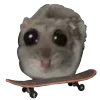 🛹 emoji hamstertt Telegram sticker 10 of 117