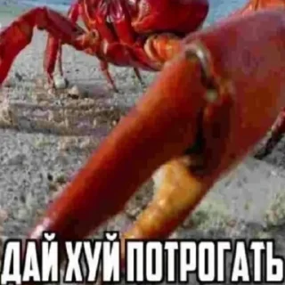 Sticker from Шайба