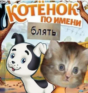Sticker from Ой бля, пошел нахуй