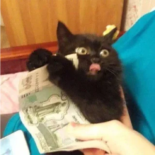 🤑 emoji бездушный стикерпак — @stckrRobot Telegram sticker 4 of 120