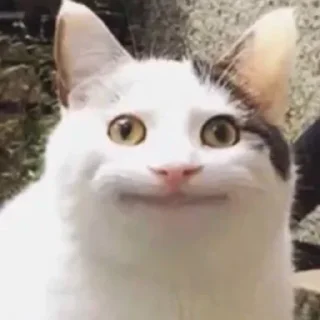 😐 emoji бездушный стикерпак — @stckrRobot Telegram sticker 23 of 120