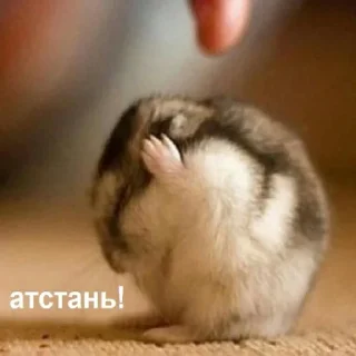 😠 emoji Скучное от @agraycat Telegram sticker 21 of 30