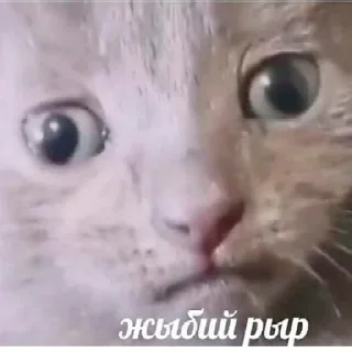 😵‍💫 emoji Скучное от @agraycat Telegram sticker 5 of 30
