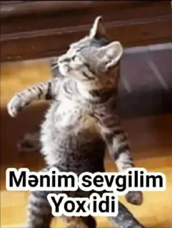 🌟 emoji @VeBirDe @DTOUserBot Paketi 1 Telegram sticker 20 of 120