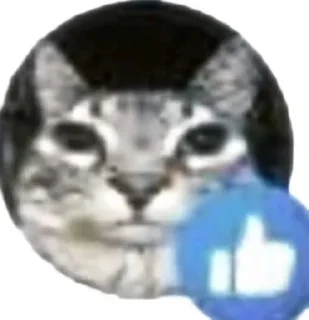 🌟 emoji Котячий домек 🥚(негативная ау pack by @QuotLyBot Telegram sticker 21 of 82