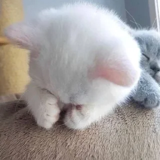 😞 emoji Больше стиков тут: @stikery4 Telegram sticker 3 of 108