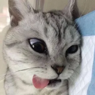 😜 emoji Больше стиков тут: @stikery4 Telegram sticker 17 of 108