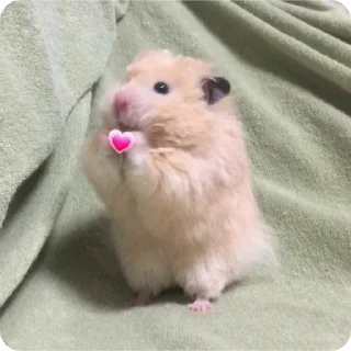 ❤ emoji пупсик💋 Telegram sticker 13 of 27