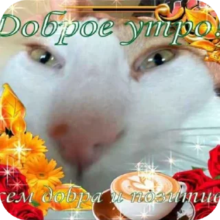 👍 emoji крутой пак @rasulchck Telegram sticker 9 of 11