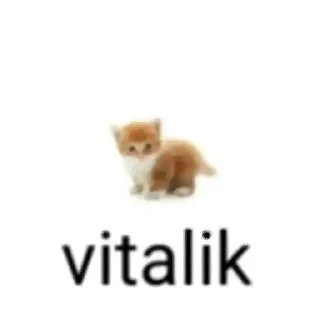 🐱 emoji крутой пак @rasulchck Telegram sticker 8 of 11