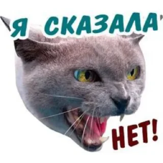 👍 emoji Vagabond Smilodon ➡️ @Ctikerubot Telegram sticker 5 of 15