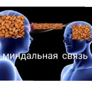Sticker from Тай таке 🤌🏻