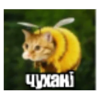 Sticker from моу