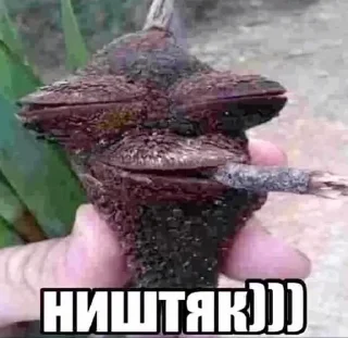 Sticker from лиси хуї