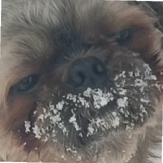 😄 emoji Святой Telegram sticker 21 of 47