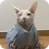 🐱 emoji Писка болит ➡️ @Ctikerubot Telegram sticker 23 of 24