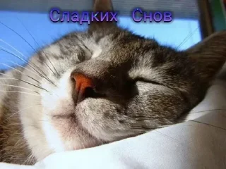 😴 emoji Больше стиков тут: @stikery4 Telegram sticker 11 of 107