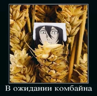 😨 emoji жёстки набор мем @StickersPackRobot Telegram sticker 8 of 60